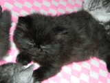 DSCN0570.JPG