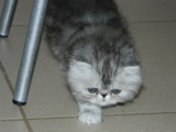 DSCN0568.JPG