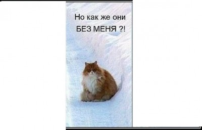 x_9d7af8a12.jpg