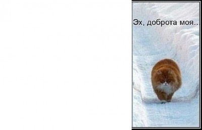 x_9d7af8a13.jpg