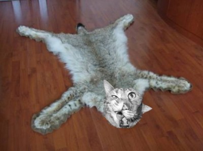 Безымянный.jpg