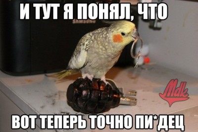 JgVQ08xJPPY.jpg