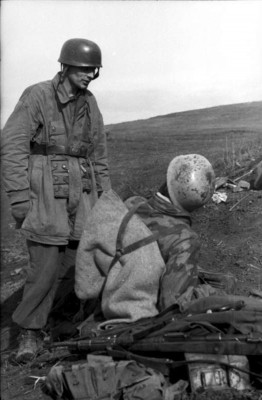 196.jpg