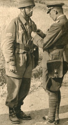 255173_original.jpg
