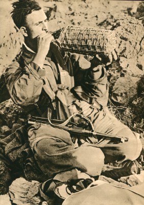 255315_original.jpg