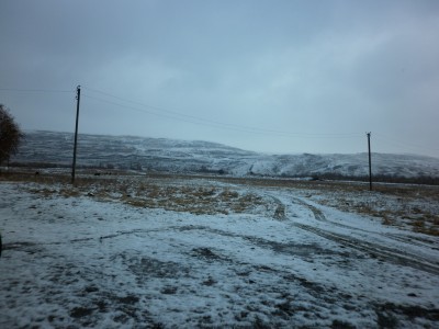 P1020152.JPG