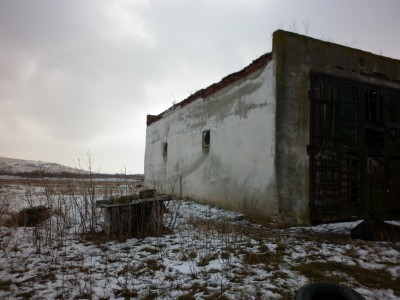 P1020164.JPG
