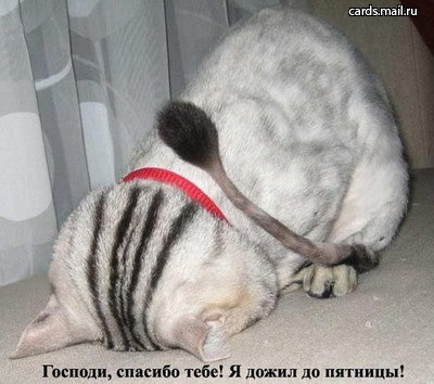 41pyatnnisa.jpg