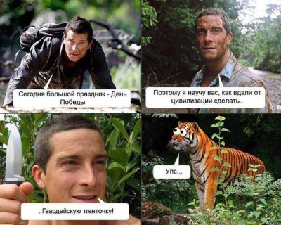 ленточка.jpg